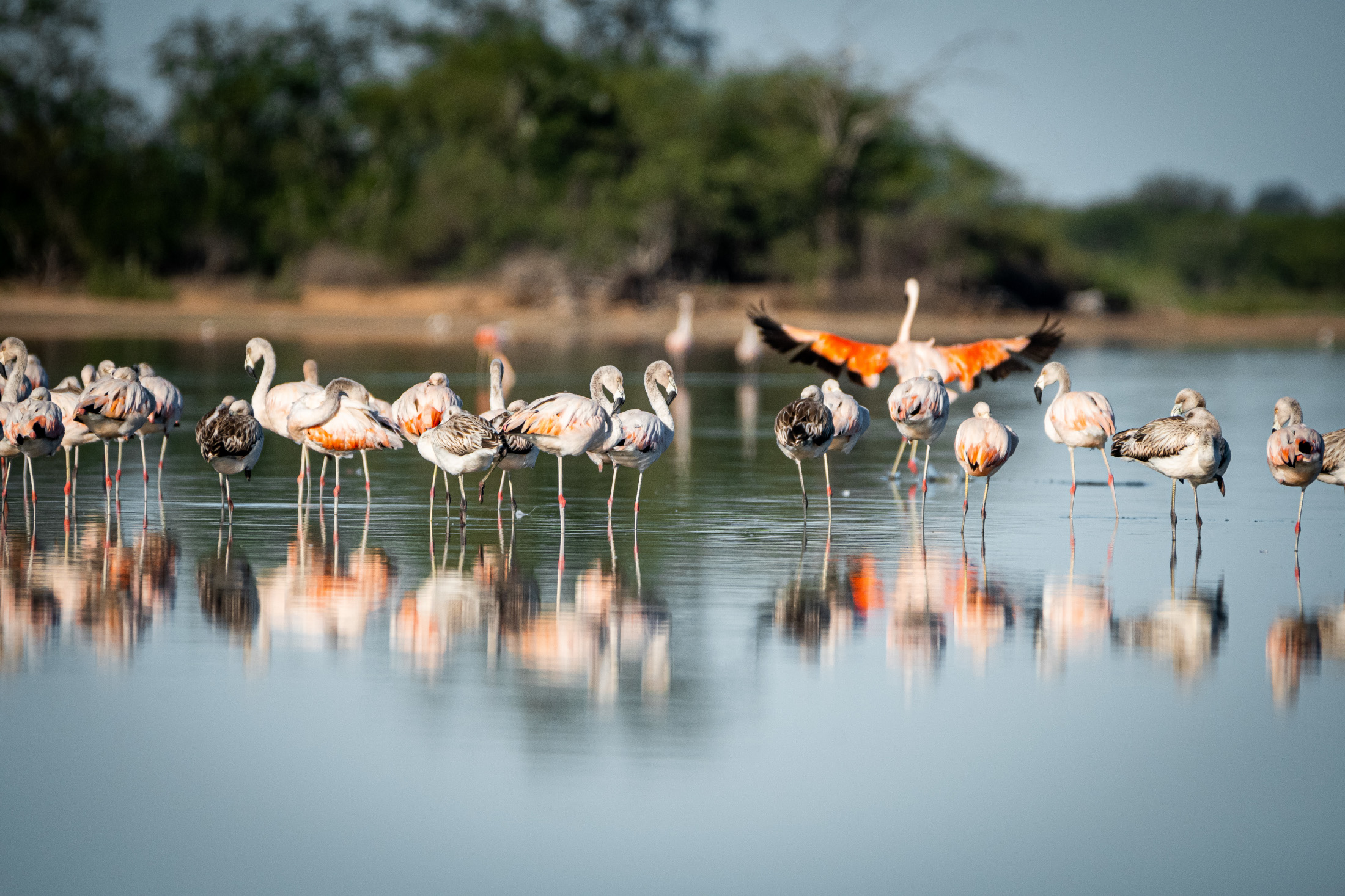 Categoría: Turismo de naturaleza