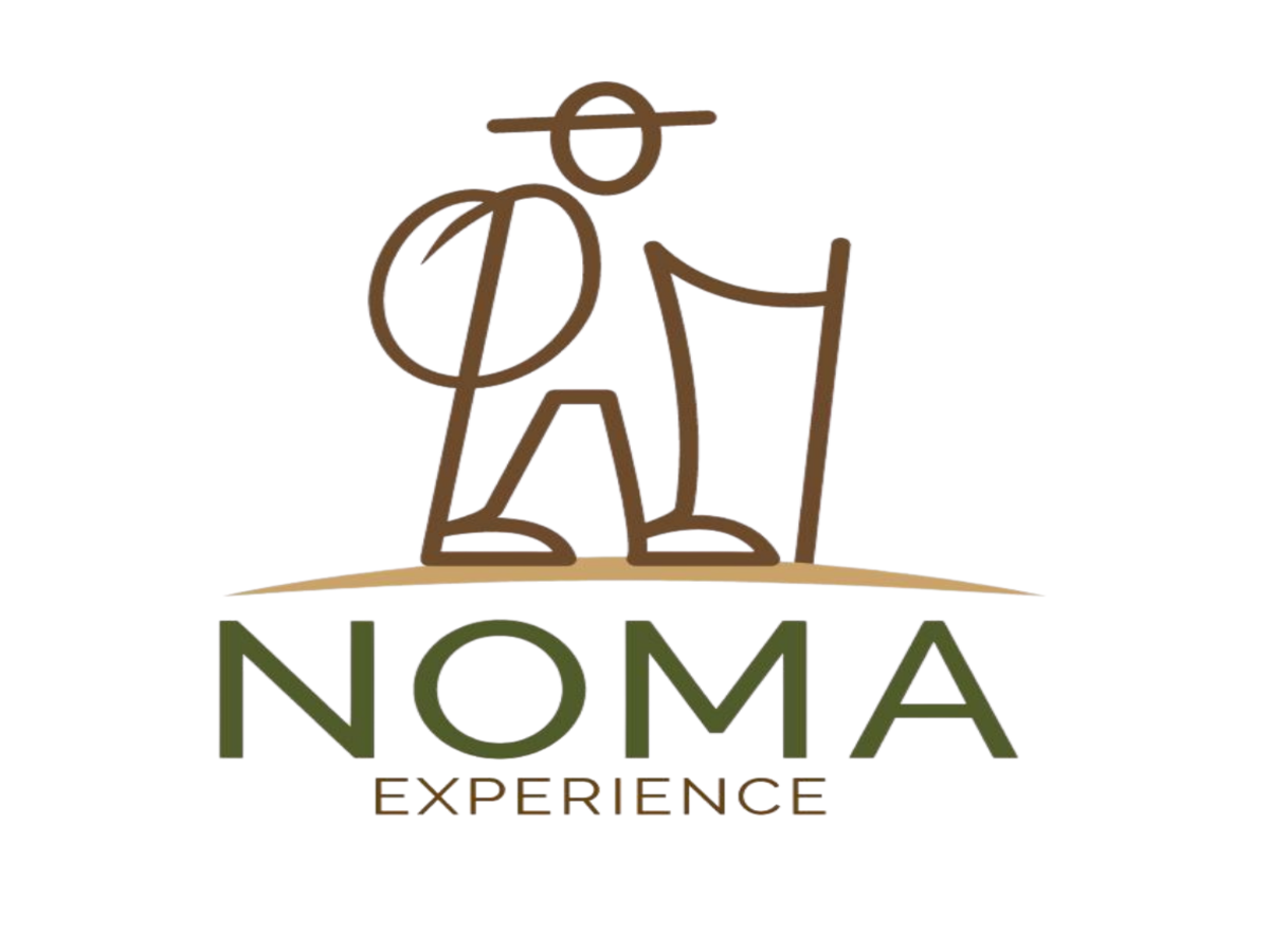 Fondo NOMA EXPERIENCE
